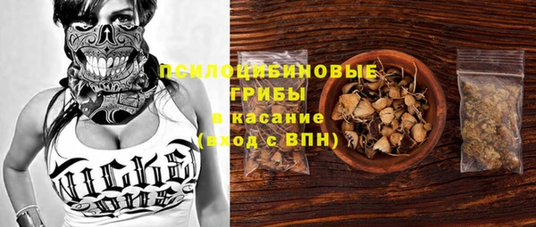 ешки Алексин