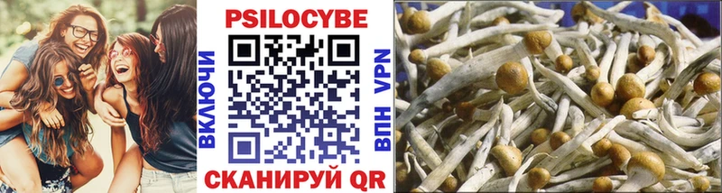 MEGA как войти  купить наркотики цена  Опочка  Псилоцибиновые грибы Psilocybine cubensis 